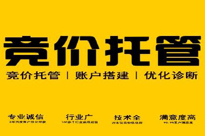 百度竞价排名服务：成功案例解析